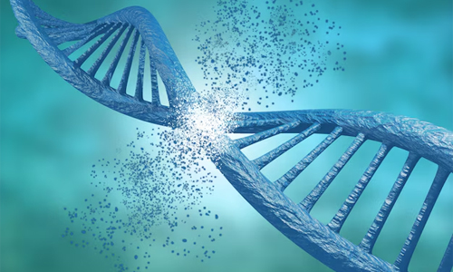 DNA