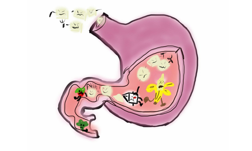 Improve Digestion