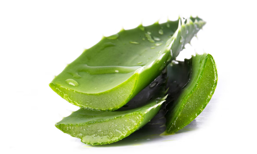 Aloe-Vera