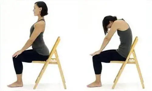 Seated Cat-Cow Stretch