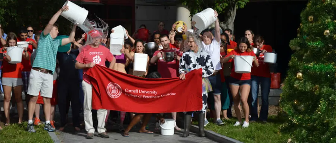 Ice Bucket Challenge: Origins, Impact, and Health Risks