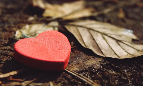 interesting-Facts-About-the-Heart