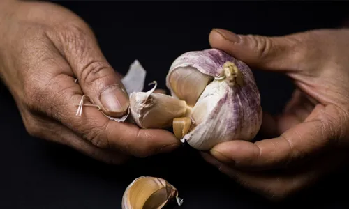 Garlic