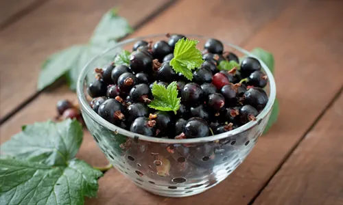 Elderberry