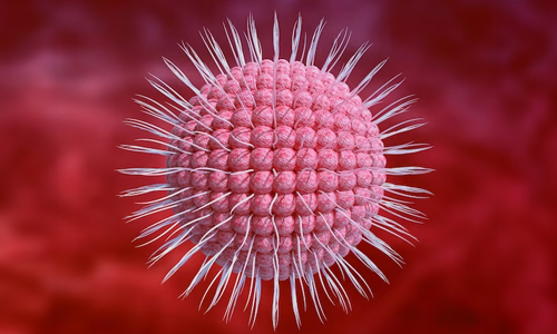 About-Chickenpox