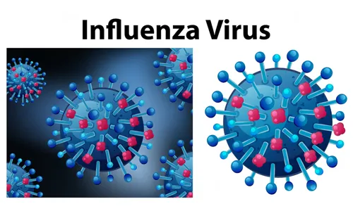 A and flu B