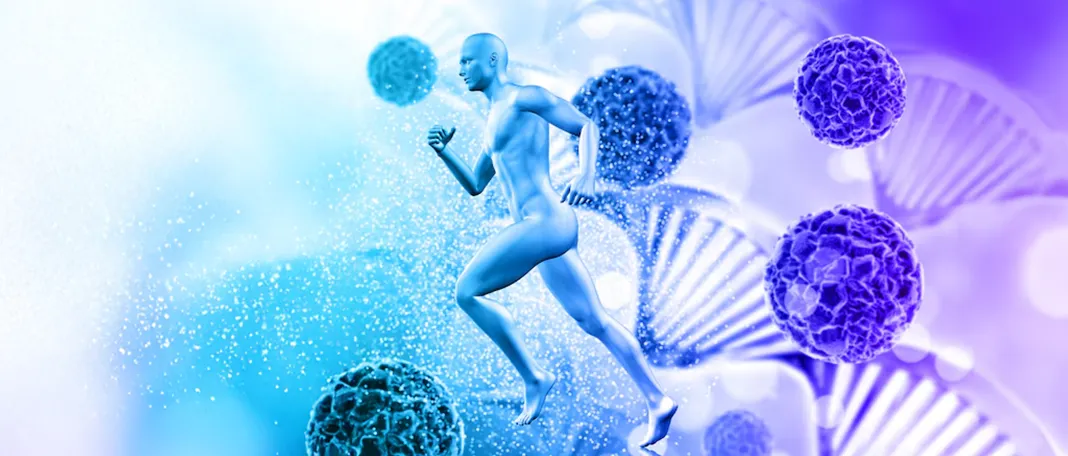 Causes of Autoimmune Disease: What the Body Is Reacting To