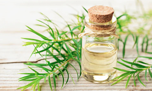Tea-tree-oil