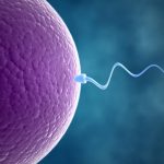 5 Things you need to know about IVF