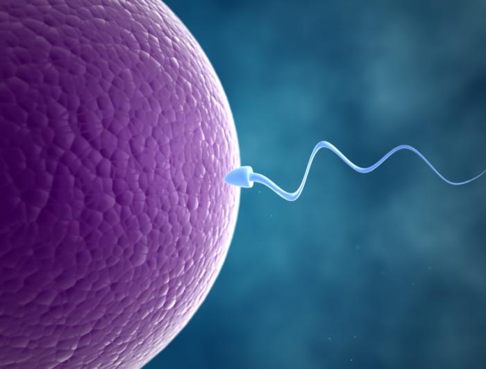 5 Things you need to know about IVF