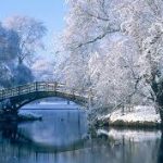5 Common winter health risks
