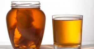 kombucha