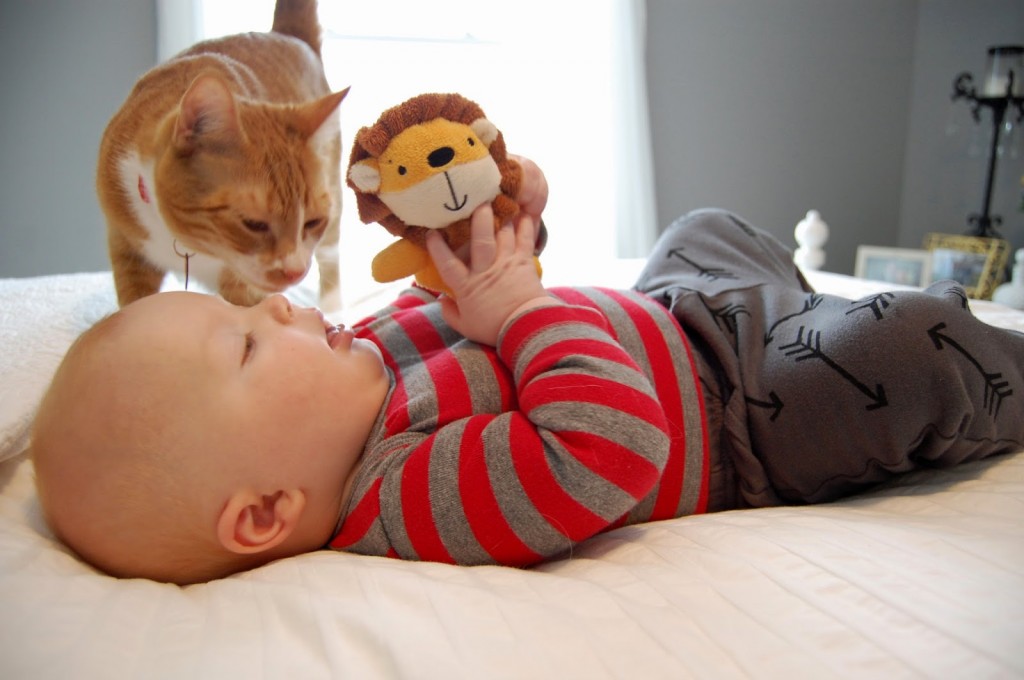 child with cat
