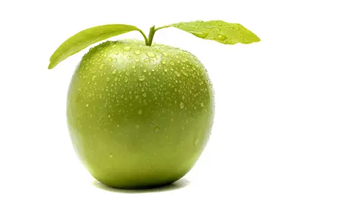 Supports Weight Management