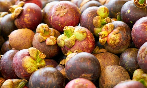 #3 Mangosteen for Weight Management
