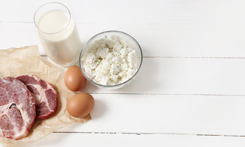 Meat-and-Dairy-Based-Products
