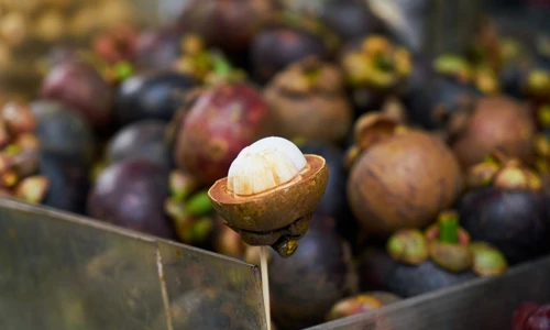 How to Eat Mangosteen