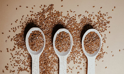What Is a Flaxseed