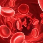 8 Foods that boost blood cells in your Body!