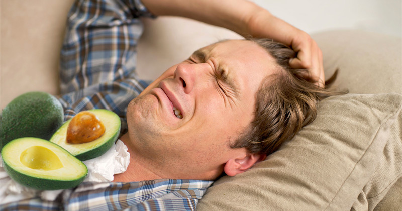 Why Stomach Pain Occurs after Eating Avocado