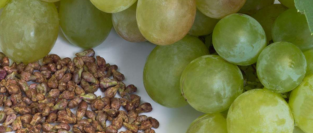 Grape Seeds : Health Benefits, Weight loss, Allergy Prevention