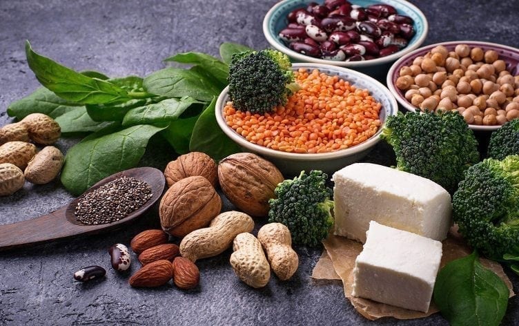 Vegan Or Plant Protein Diet Is Good For A Healthy Heart