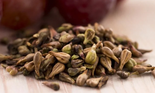 The-Nature-of-Grape-Seeds