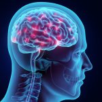 Obesity… The Casue Of Less Gray Matter Volume