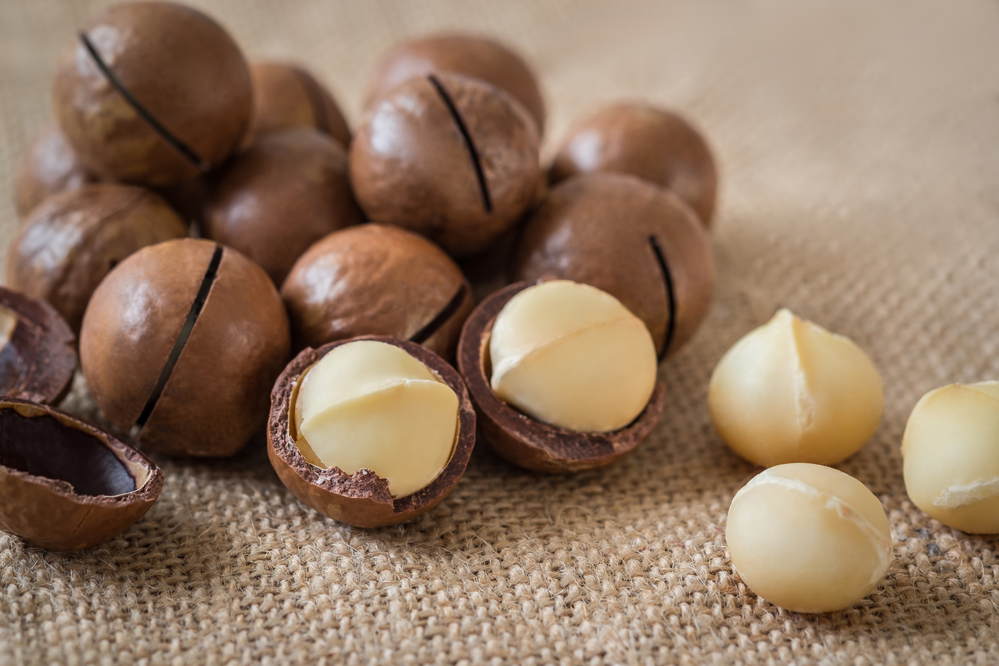 Health Benefit of Macadamia Nuts! - completehealthnews.com