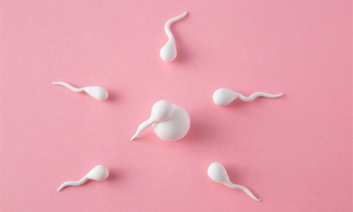 Sperm-Collection