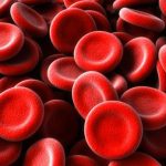 5 reasons why women should keep a check on their hemoglobin levels