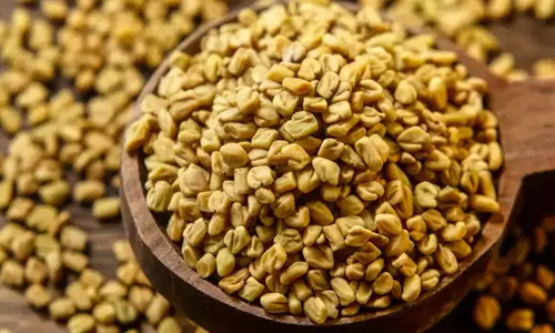 Fenugreek-Seeds