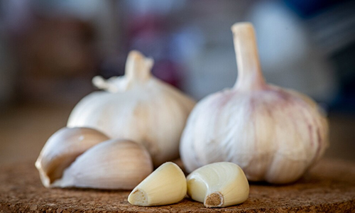 Garlic