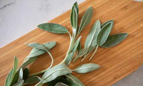 Sage