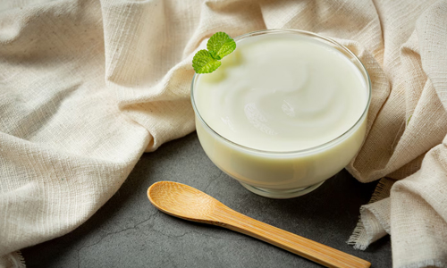 Yogurt