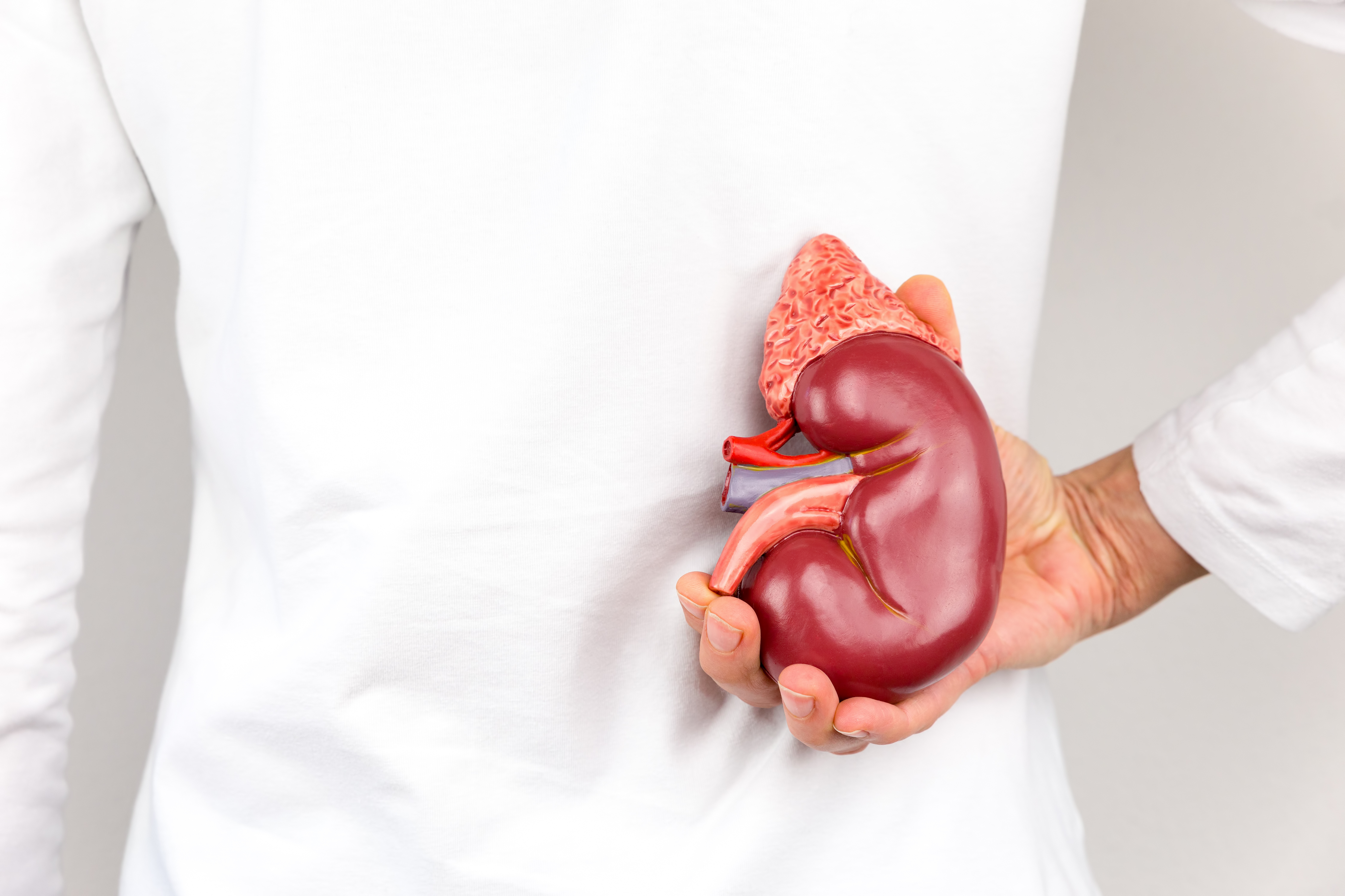 Do pain killers affect kidney function?