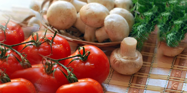 Best Therapeutic Mushrooms