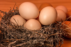 Eggs