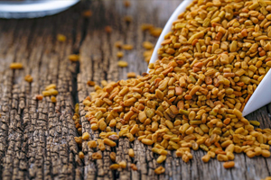 Fenugreek