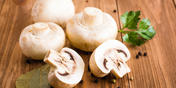 Health Benefits of Mushrooms