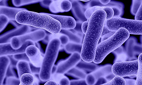 Kills Bacteria