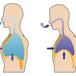 Learn the Right Breathing Techniques to Stay Healthy