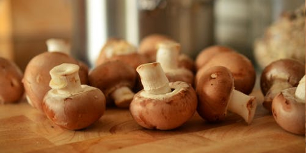 Mushroom for Skincare and Health