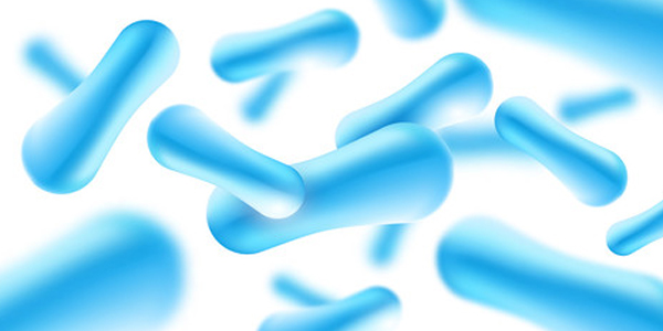 Probiotics bacteria 