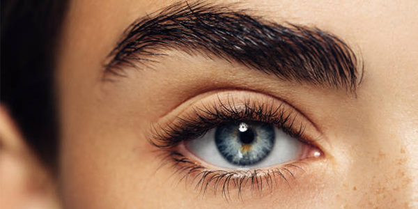 Thickens Eyebrows and Eyelashes