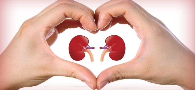 What-are-the-best- foods-for-kidney- function