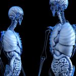 Amazing Facts- Eliminating Grains May Be Harmful For Gut Health