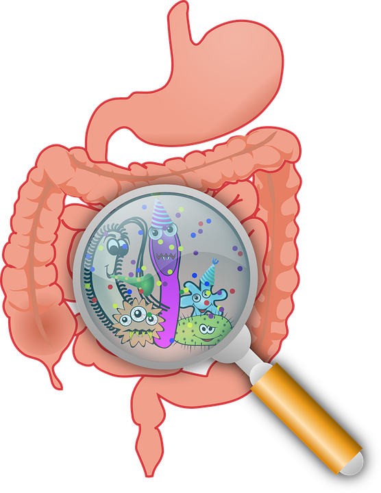 How-grains-help-to-improve-your-Gut-health How-grains-help-to-improve-your-Gut-health