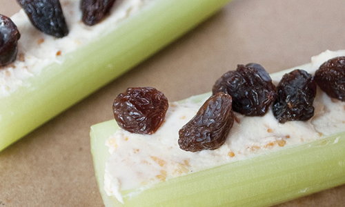 Raisins for Ants on a Log