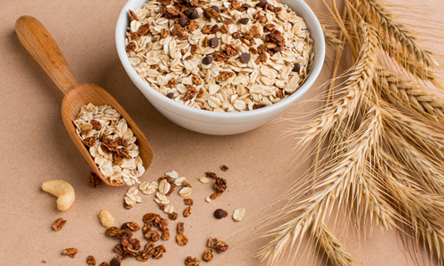 Rich in Fiber